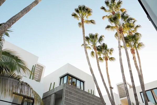 Exterior - Sophisticated Escape with Pool, Rooftop & Cozy Ambiance (San José del Cabo)