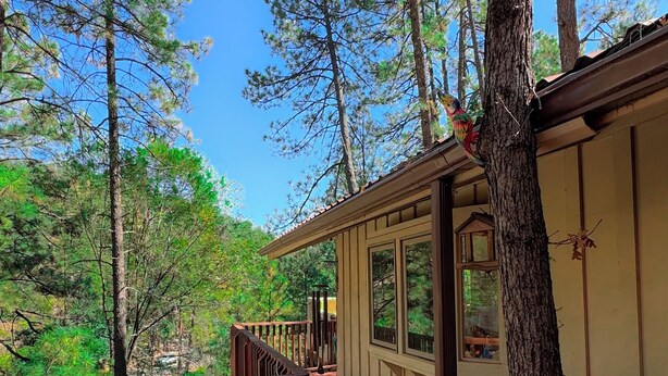 A wooden deck with railings, surrounded by trees and a clear sky.
