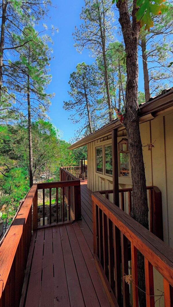 Terrace/patio - Mountain Forest Views, Spacious 3BR Cabin with Game Room (Ruidoso)
