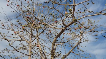 Vista dalla struttura