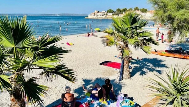A beach with palm trees, people sunbathing, and a clear blue sea.