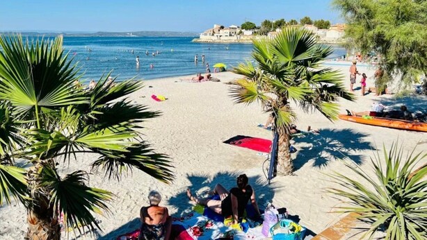 Ein Strand mit Palmen, Menschen, die sich sonnen, und freier Sicht auf das Meer.