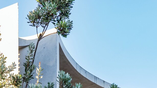 A modern building with a curved concrete facade, a glass balcony, and a palm tree.