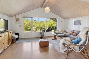 TV - Holiday home with peace nature and great moments (Jægerspris)