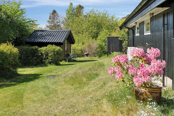A grassy area with a small shed, a barbecue grill, and a flower pot.