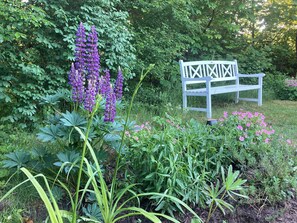 A bench in a garden with various plants and trees. - Holiday home with peace, nature and great moments (Jægerspris)
