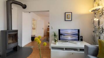 Fernseher, Kamin, DVD-Player