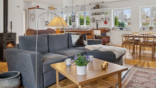 En hyggelig stue med sofa, sofabord og pejs.