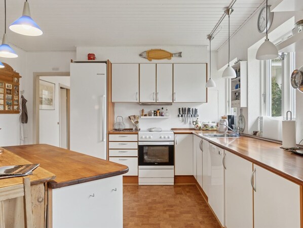 Fridge, oven, dishwasher, cookware/dishes/utensils