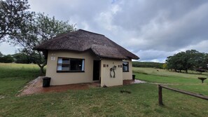 واي فاي مجانًا