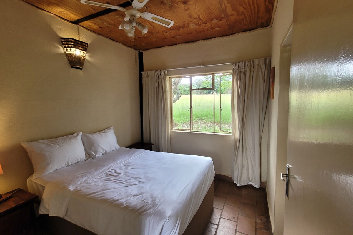 A bedroom with a bed, a nightstand with a lamp, a ceiling fan, a window with curtains, and a door.