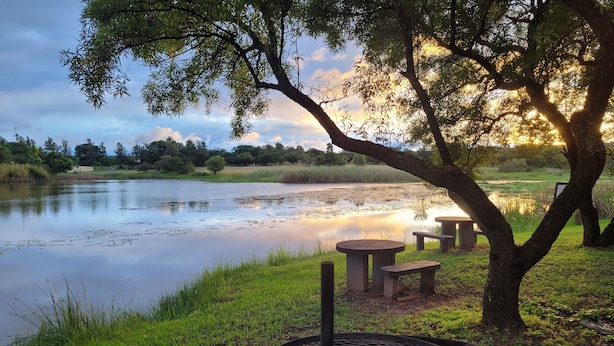Un entorno tranquilo junto al lago, con una parrilla y mesas de picnic bajo un árbol.