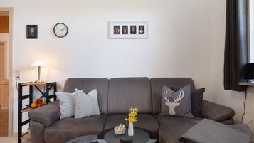 Fernseher, DVD-Player, Stereoanlage