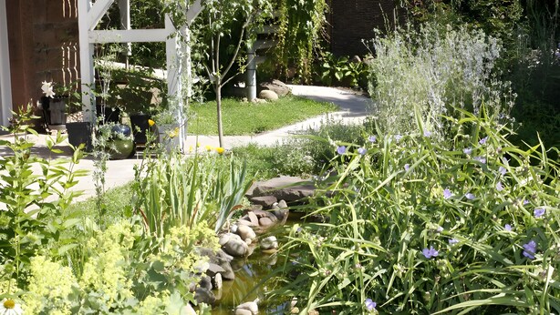 Un jardín con un estanque, rocas y diversas plantas.