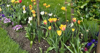 Holiday Home 'Rehblick Schwerin' with Private Terrace, Wi-Fi and Air Conditioning