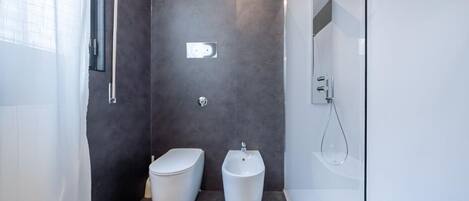 Shower, hair dryer, bidet, towels