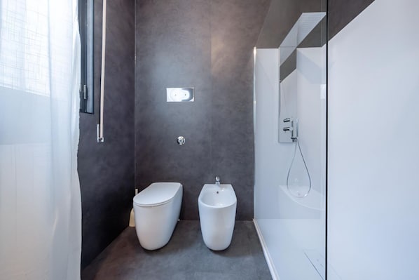Shower, hair dryer, bidet, towels