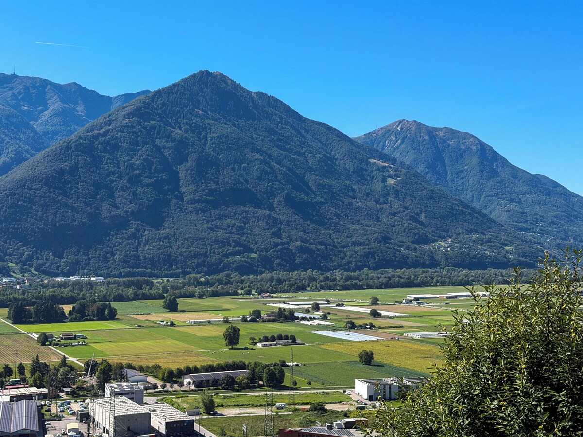 Image de profil de l’hôte