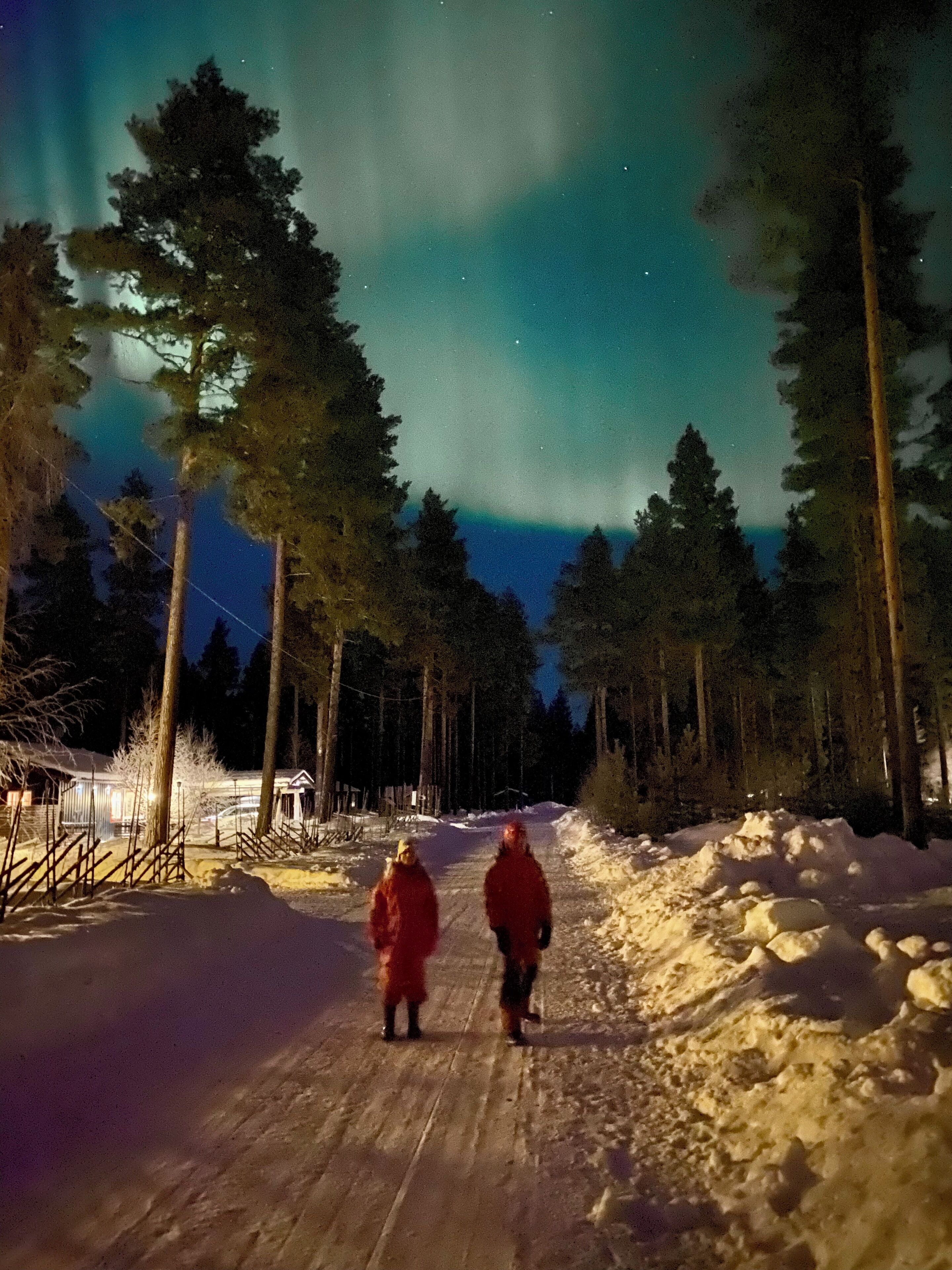 Lumipeitteinen polku, jonka molemmin puolin kohoaa korkeita puita, johtaa rakennukseen, jonka katto ja ikkunat ovat selvästi näkyvissä.
