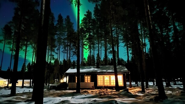 Une cabane entourée de grands arbres, dont le sol est recouvert de neige, et illuminée par une aurore boréale verdoyante.