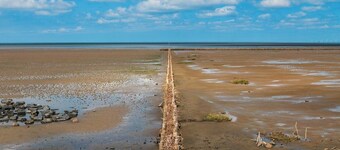 Charming Holiday House in Dagebüll - Ideal for Families and Pets