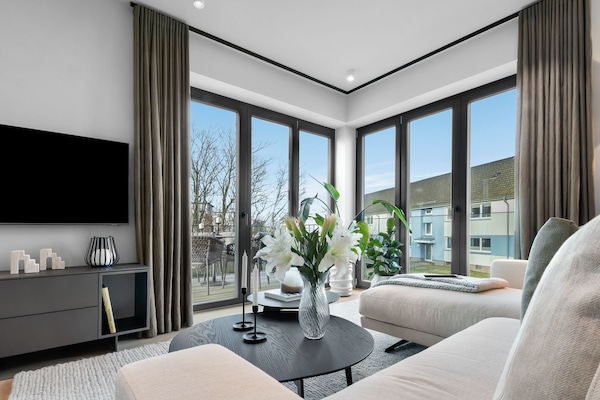 Télévision, cheminée, chaßne hi-fi