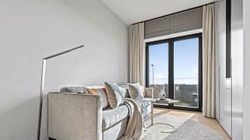 Télévision, cheminée, chaßne hi-fi