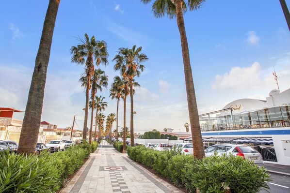 A pathway lined with palm trees and parked cars, leading to a building with a modern design and a sign that reads "Relais".
