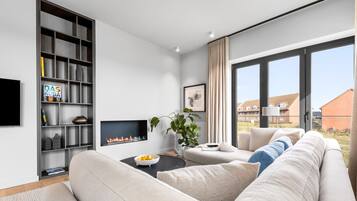 Télévision, cheminée, chaßne hi-fi