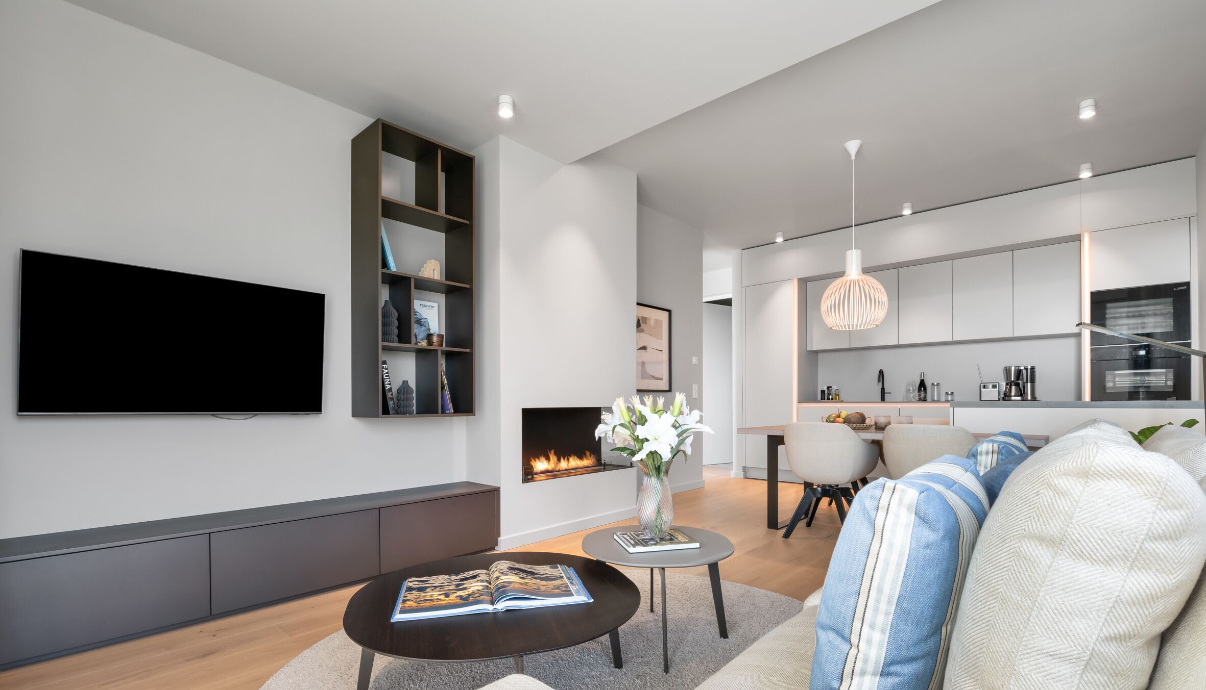 Télévision, cheminée, chaîne hi-fi