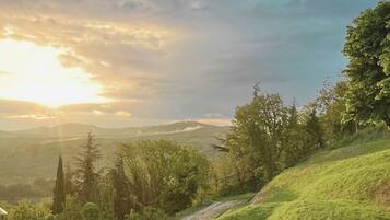 Une vue pittoresque d’une colline verdoyante, avec un sentier de terre qui mène à un bâtiment.
