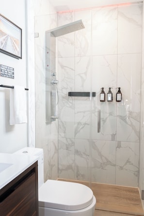Shower, hair dryer, towels, soap