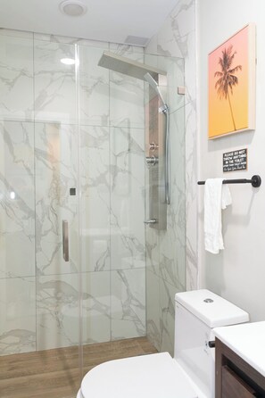 Douche, sèche-cheveux, serviettes fournies, savon