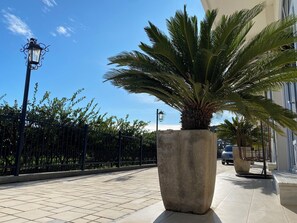 Property grounds - PRINCESS Valdanos - Fabulous Charming studio with terrace, garden view AC & WiFi (Ulcinj,)