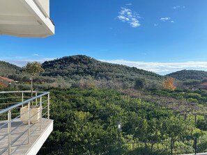 Property grounds - PRINCESS Valdanos - Fabulous Charming studio with terrace, garden view AC & WiFi (Ulcinj,)