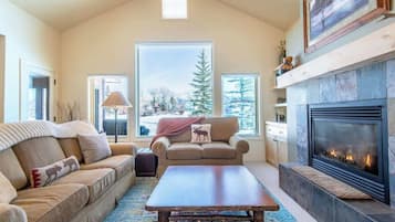 Fernseher, Kamin, Bücher, Arbeitsbereiche