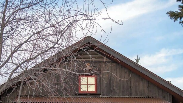 A rustic wooden cabin with a red door, two windows with shutters, and a small porch with a chair. - Teton Homestead: Teton Basecamp Near Parks (Driggs)
