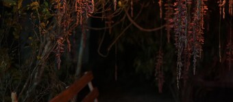  4-bedroom bed & breakfast in Ramakkalmedu