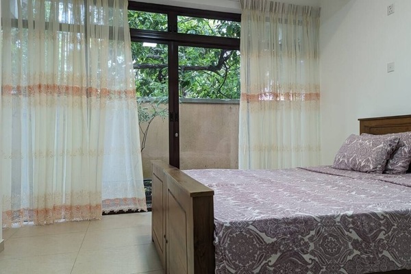 Where you sleep will enable you to window-watch tropical animals.