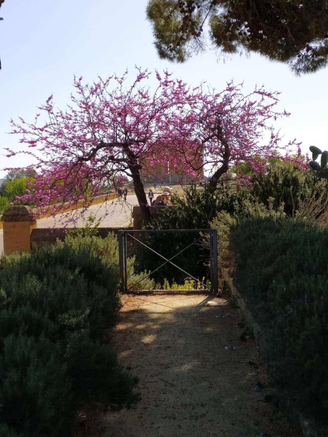 Ferienhaus, 1 Schlafzimmer, barrierefrei, Balkon | Garten