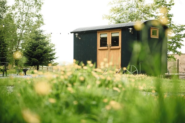 A small, dark-colored wooden structure with a single door and window, surrounded by greenery and a fence.
