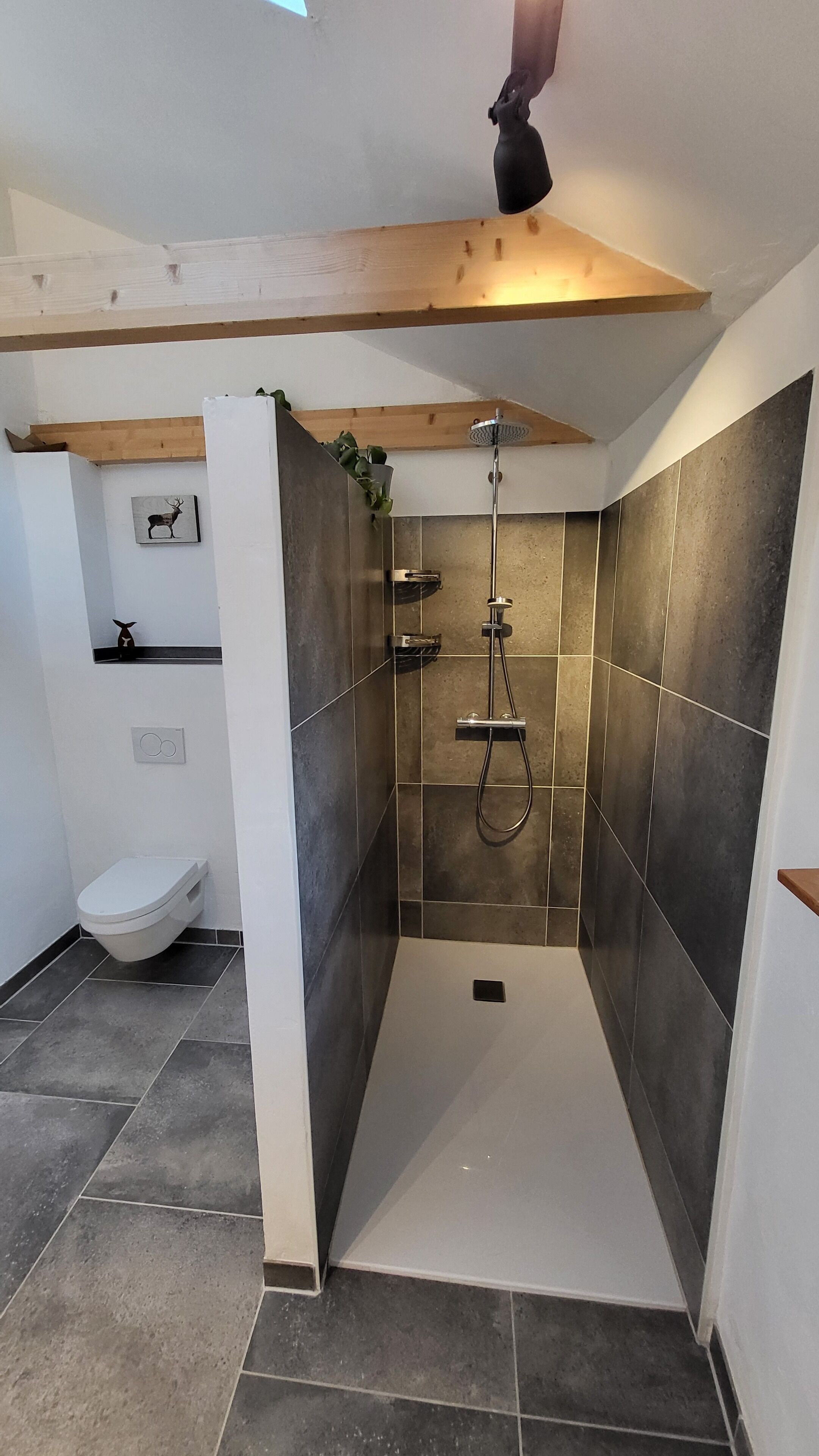 Une salle de bain moderne équipée d’une douche, de toilettes et d’une étagère où sont disposés des objets décoratifs.