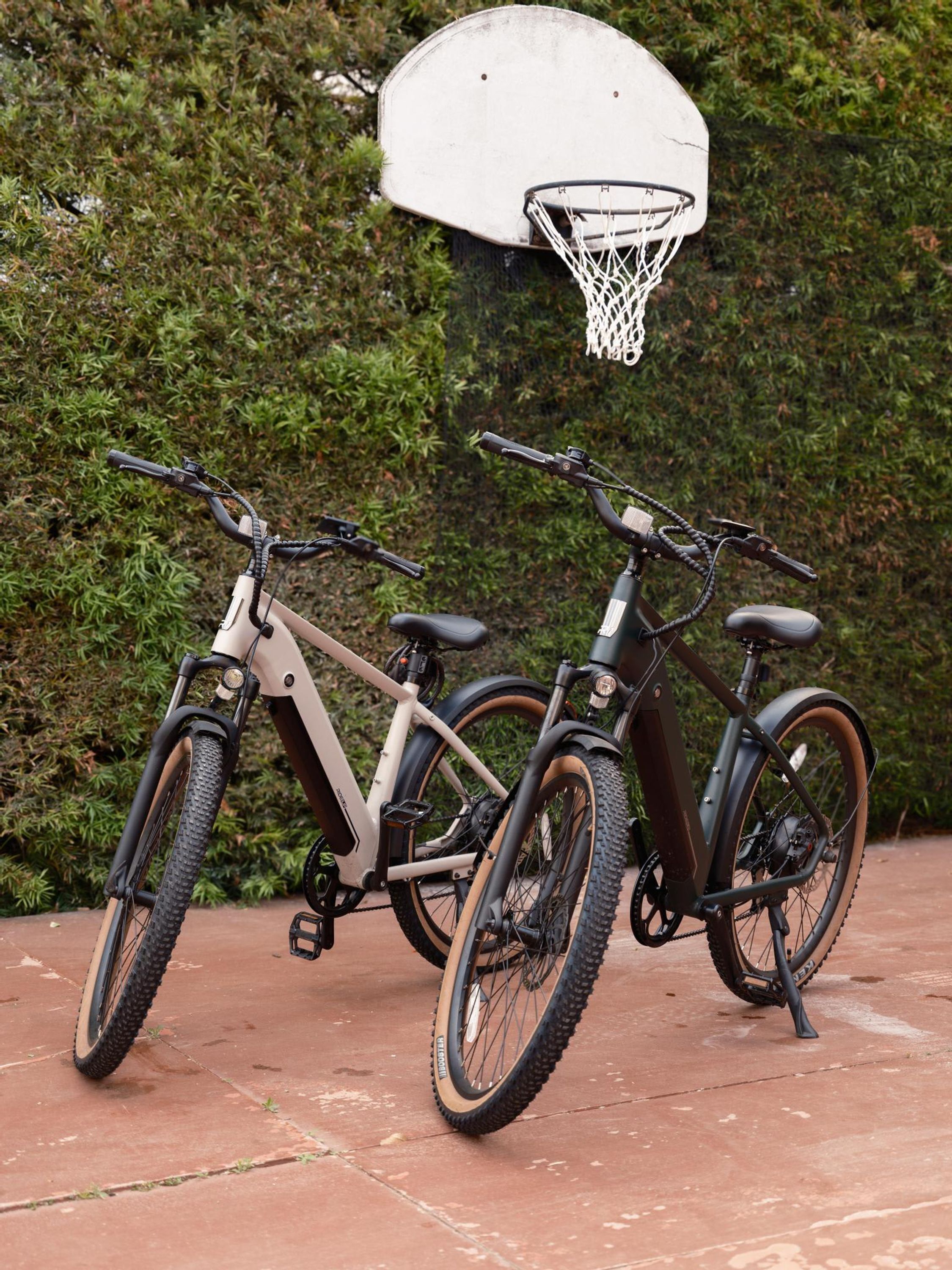 Two bicycles parked in front of a basketball hoop, with a hedge in the background.