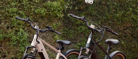 Two bicycles parked in front of a basketball hoop, with a hedge in the background.