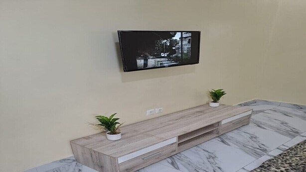 Een moderne woonkamer met een houten tv-meubel, een flatscreen televisie aan de muur en twee potplanten.