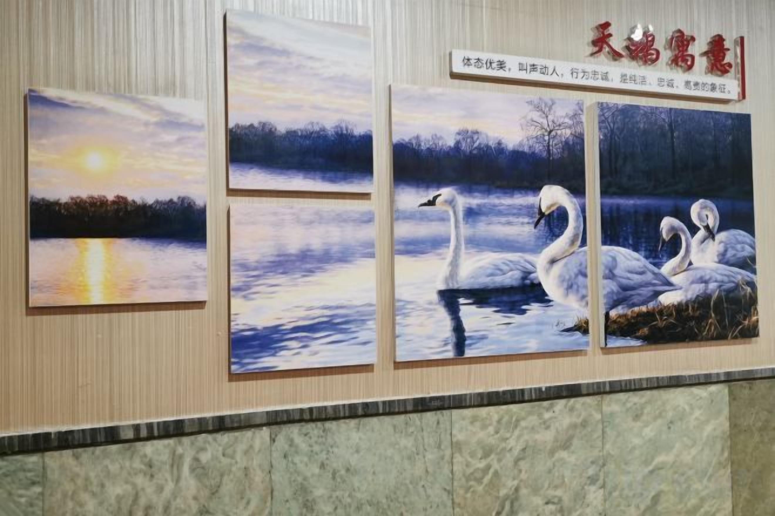 A wall with four framed paintings depicting swans on a lake.