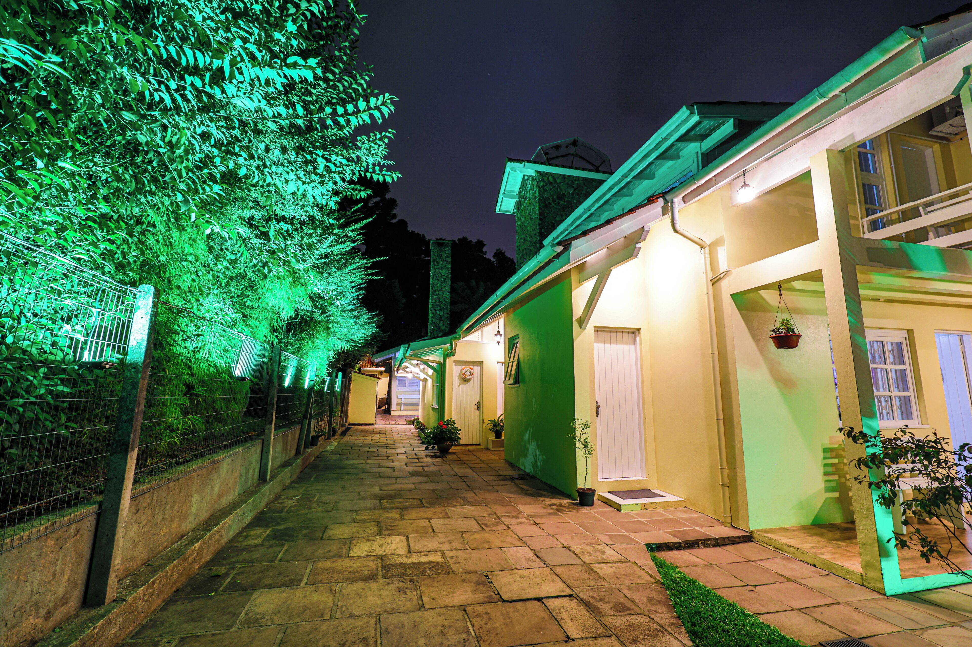 Un sendero conduce a un edificio con iluminación verde y una puerta adornada con una planta en maceta.