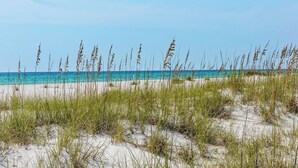 A beach with sand dunes and tall grasses in the foreground, leading to a clear blue ocean. - Inlet Beach Retreat with Rooftop Views, 4 Bikes + Free Attraction Tickets! (Inlet Beach)