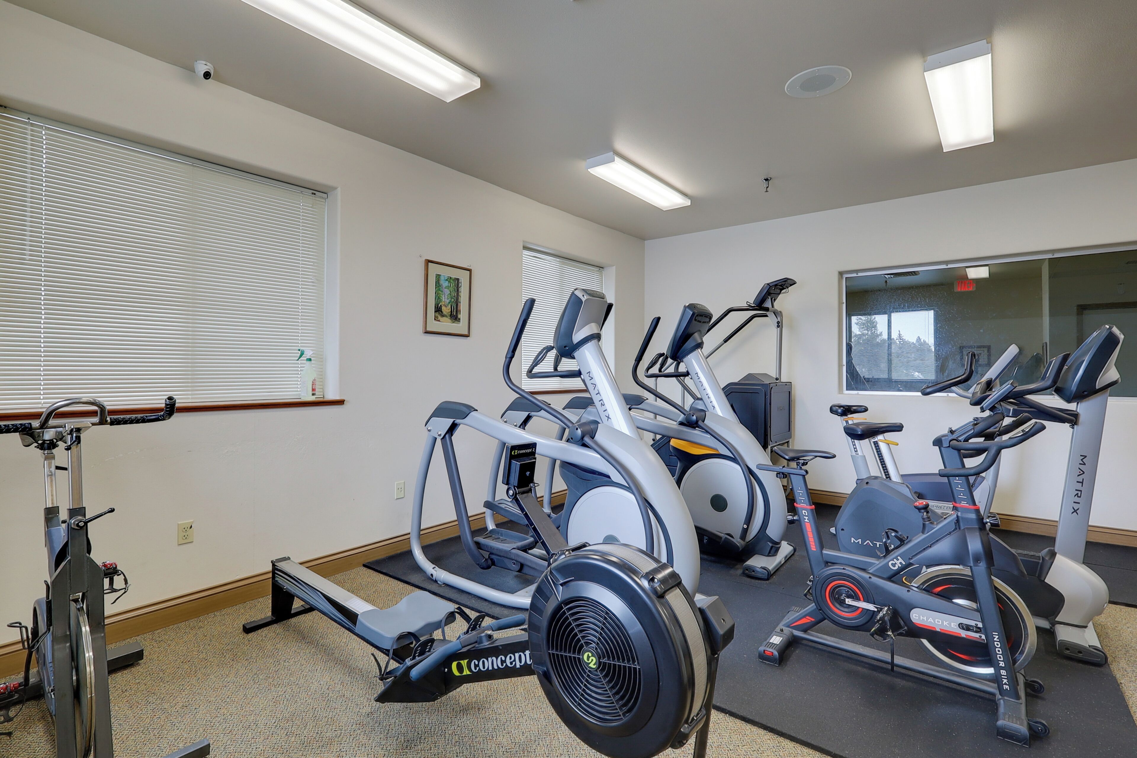 Ett gym med motionscyklar, löpband och en vägg täckt med speglar.