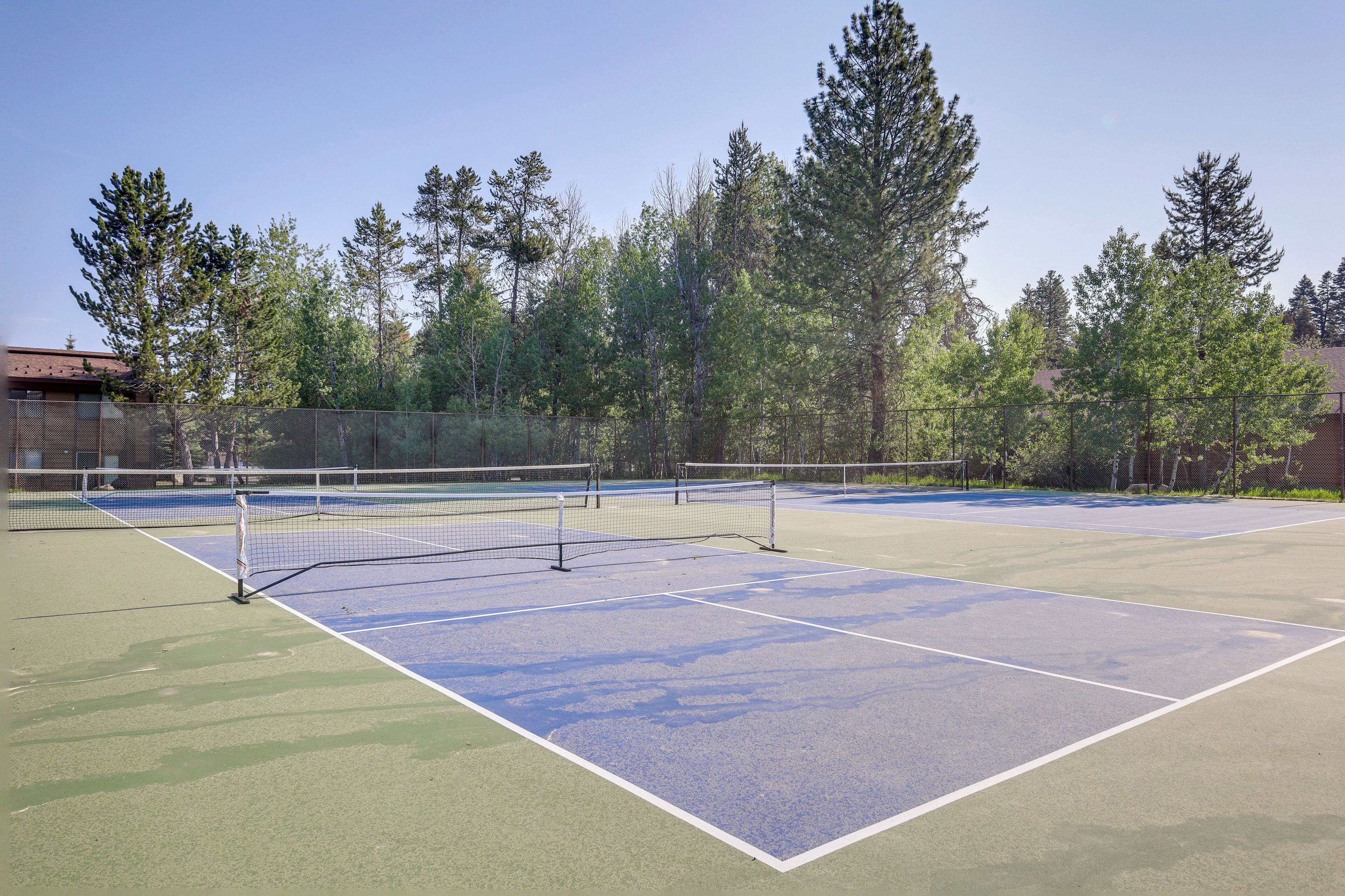 En tennisbane med net, omgivet af træer og et hegn.